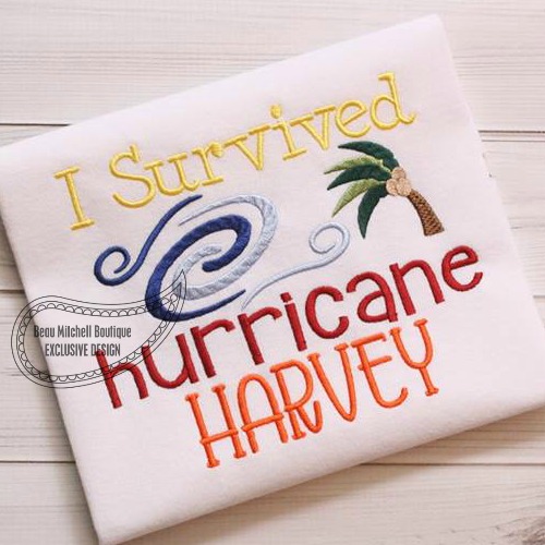 I survived Hurricane Harvey!