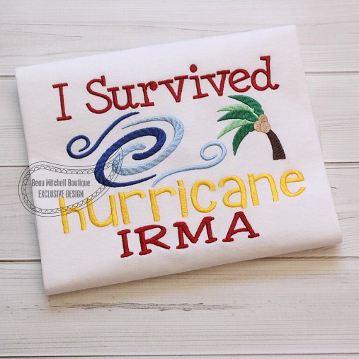 I survived Hurricane Irma